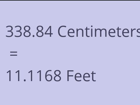 338.84 CM TO FEET