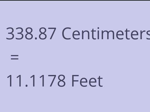 338.87 CM TO FEET