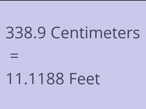 338.9 CM TO FEET