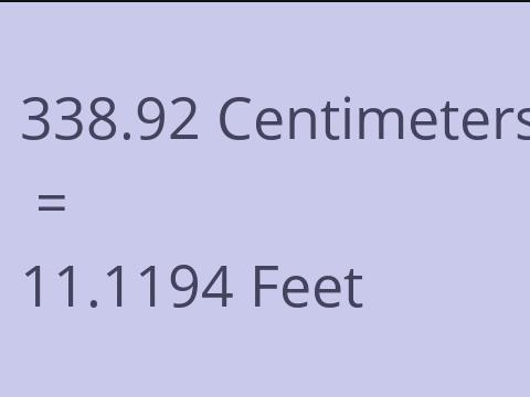 338.92 CM TO FEET