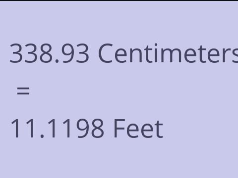 338.93 CM TO FEET