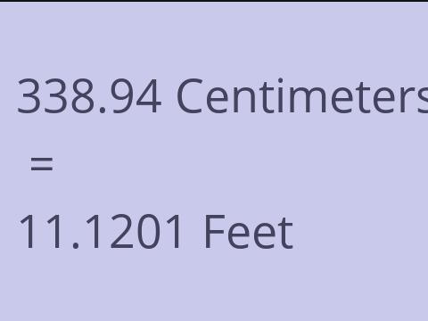 338.94 CM TO FEET