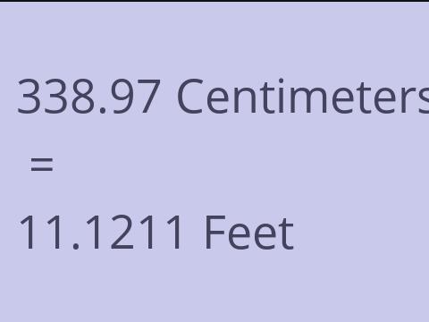 338.97 CM TO FEET