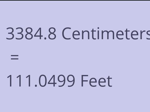 3384.8 CM TO FEET