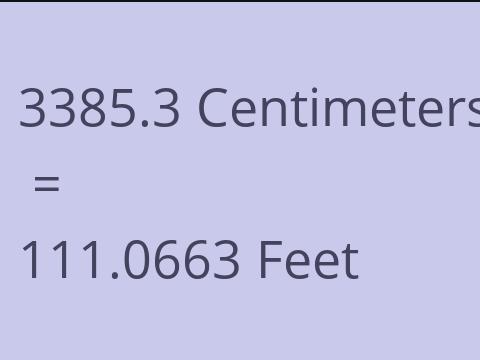 3385.3 CM TO FEET