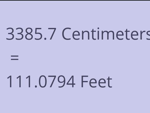 3385.7 CM TO FEET