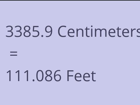 3385.9 CM TO FEET