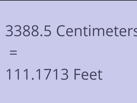 3388.5 CM TO FEET
