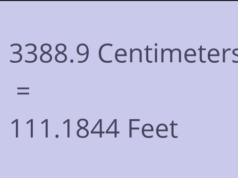3388.9 CM TO FEET