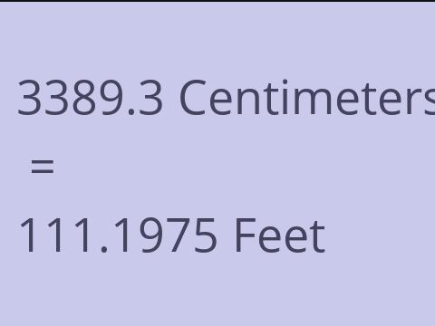 3389.3 CM TO FEET