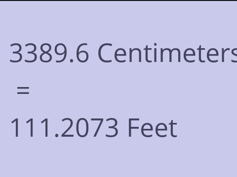 3389.6 CM TO FEET