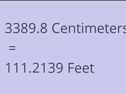 3389.8 CM TO FEET