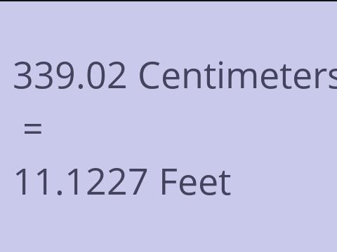 339.02 CM TO FEET