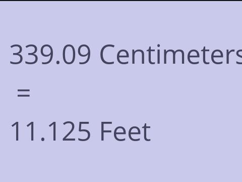 339.09 CM TO FEET