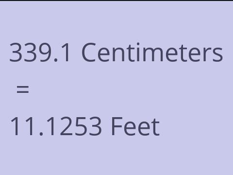 339.1 CM TO FEET