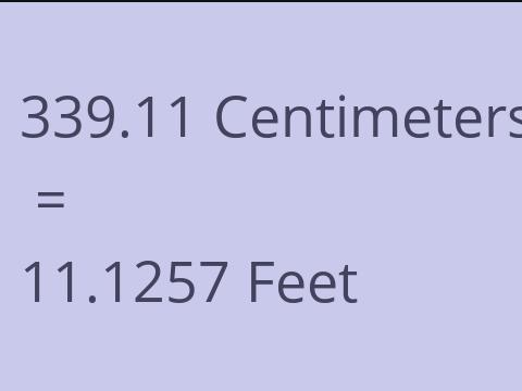 339.11 CM TO FEET