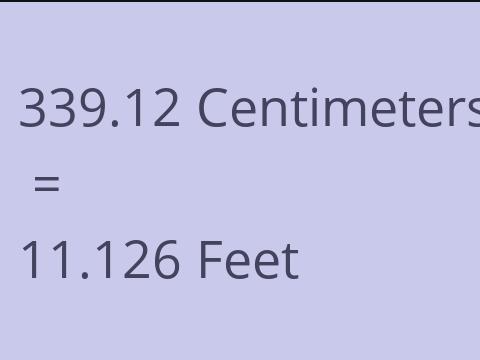 339.12 CM TO FEET