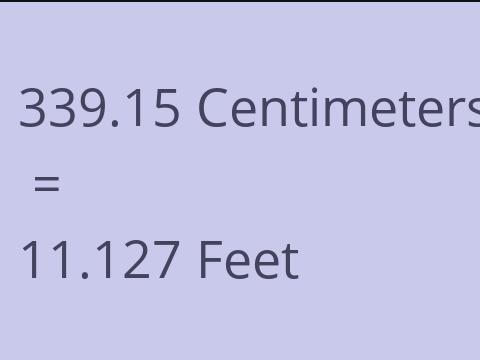 339.15 CM TO FEET