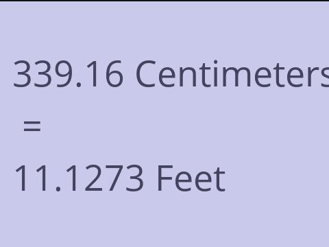 339.16 CM TO FEET