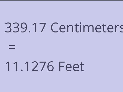 339.17 CM TO FEET