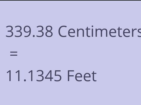 339.38 CM TO FEET