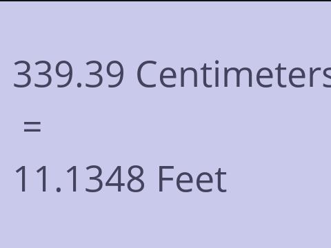 339.39 CM TO FEET