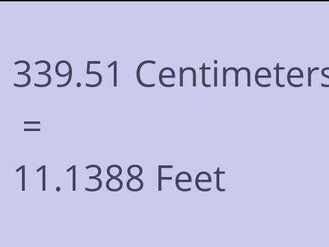 339.51 CM TO FEET