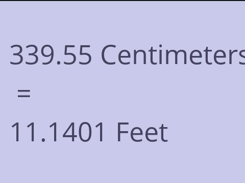 339.55 CM TO FEET