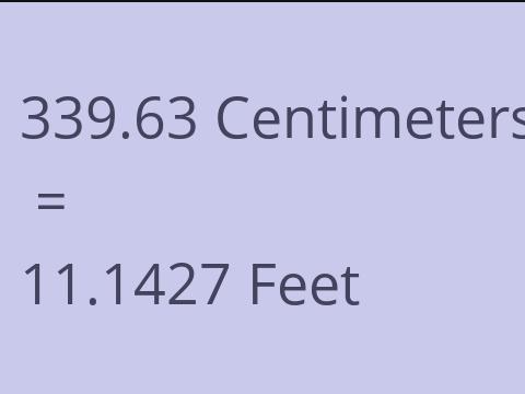 339.63 CM TO FEET