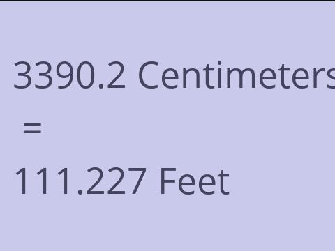 3390.2 CM TO FEET