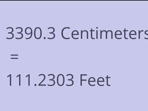 3390.3 CM TO FEET