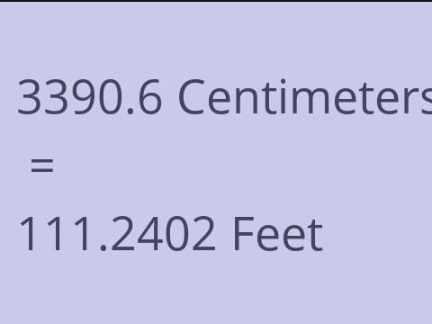 3390.6 CM TO FEET