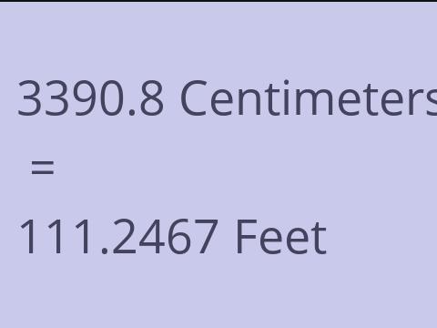 3390.8 CM TO FEET