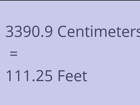 3390.9 CM TO FEET