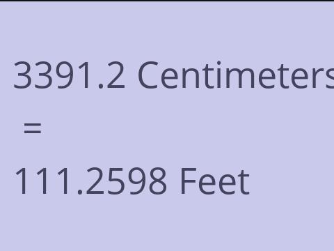 3391.2 CM TO FEET