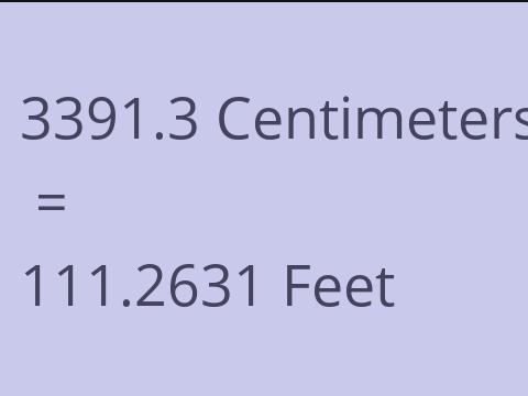 3391.3 CM TO FEET