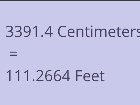 3391.4 CM TO FEET