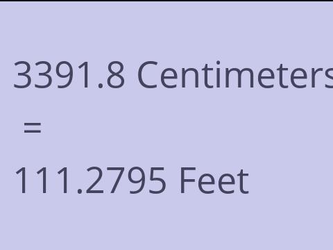 3391.8 CM TO FEET