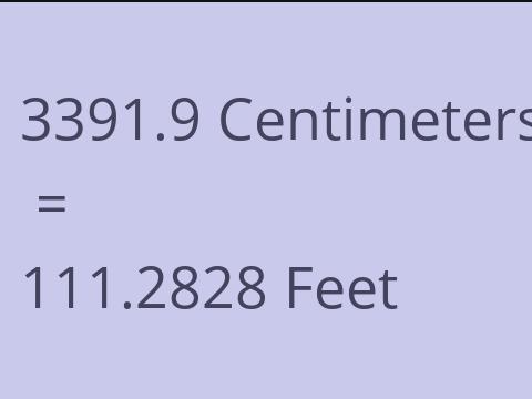 3391.9 CM TO FEET