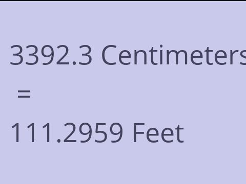 3392.3 CM TO FEET
