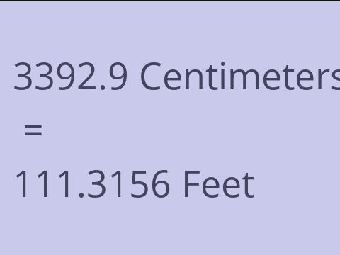 3392.9 CM TO FEET