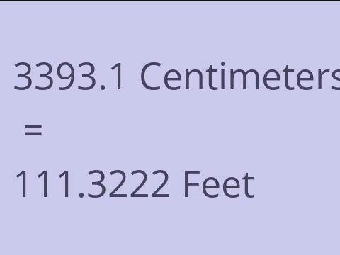 3393.1 CM TO FEET