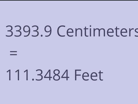 3393.9 CM TO FEET