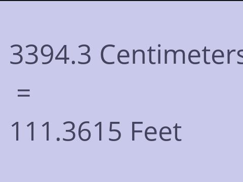 3394.3 CM TO FEET