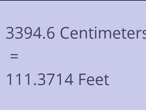 3394.6 CM TO FEET