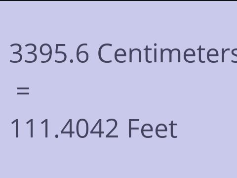 3395.6 CM TO FEET