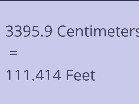 3395.9 CM TO FEET
