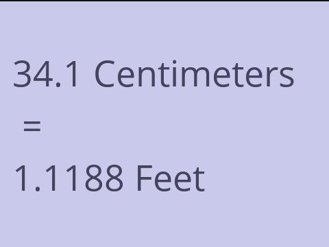 34.1 CM TO FEET