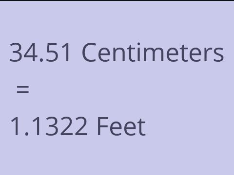 34.51 CM TO FEET