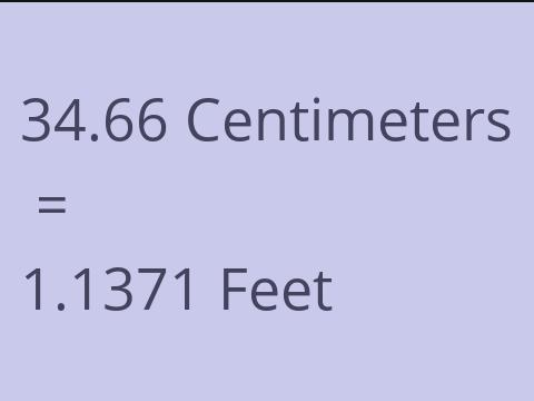 34.66 CM TO FEET